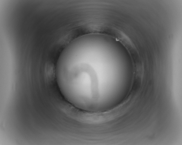 X0000114550029200910191420