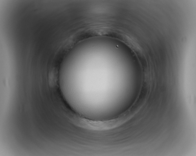 X0000114550030200910191420