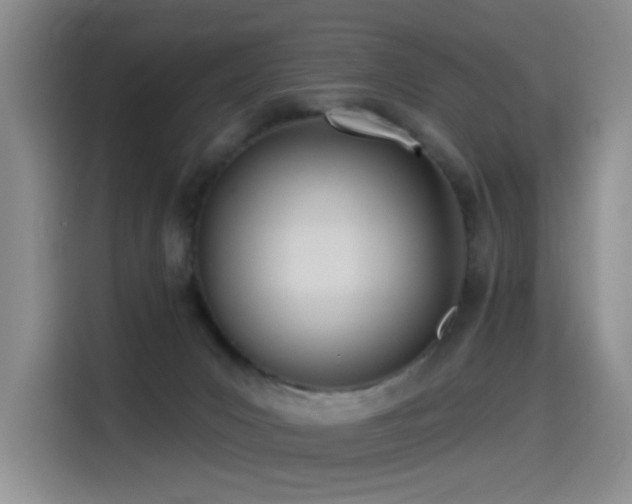 X0000114550031200910191420
