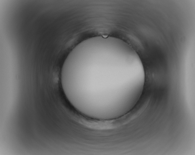 X0000114550032200910191420
