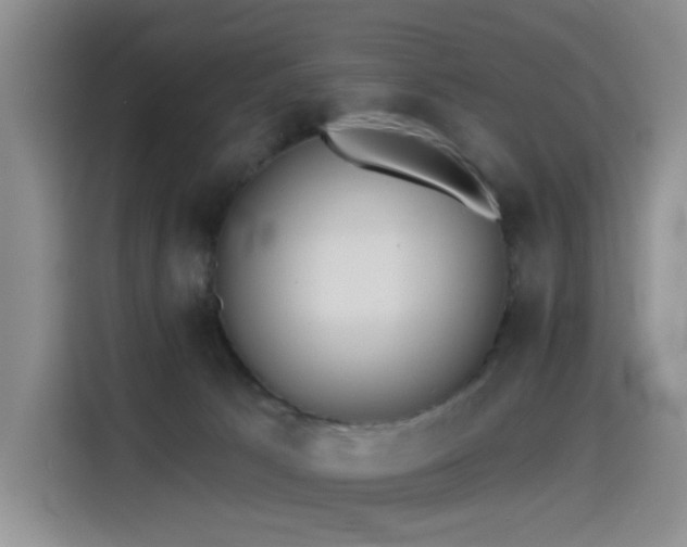X0000114550033200910191420