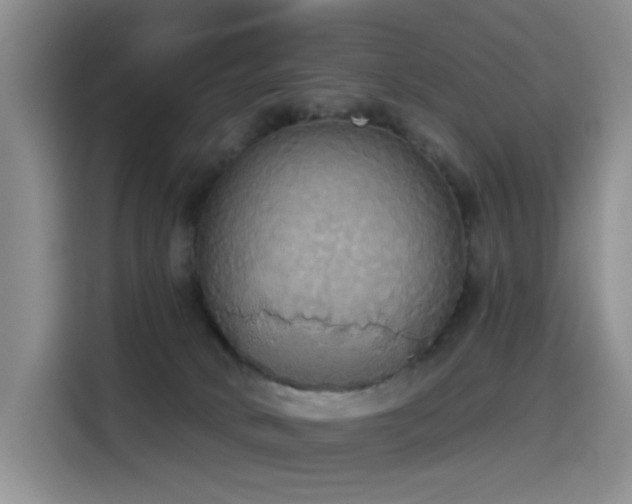 X0000114550034200910191420