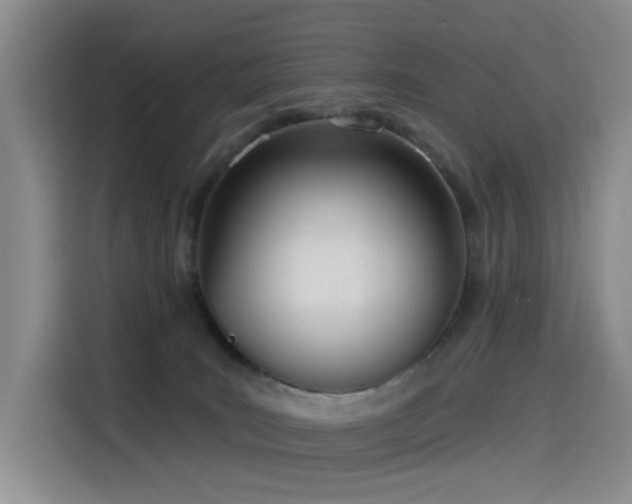 X0000114550035200910191420