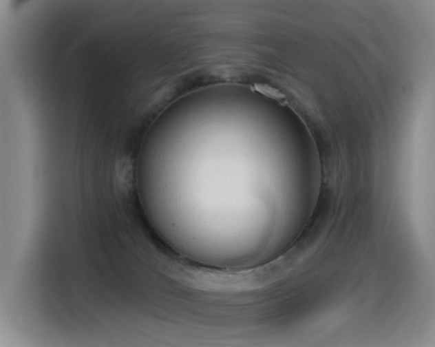 X0000114550036200910191420