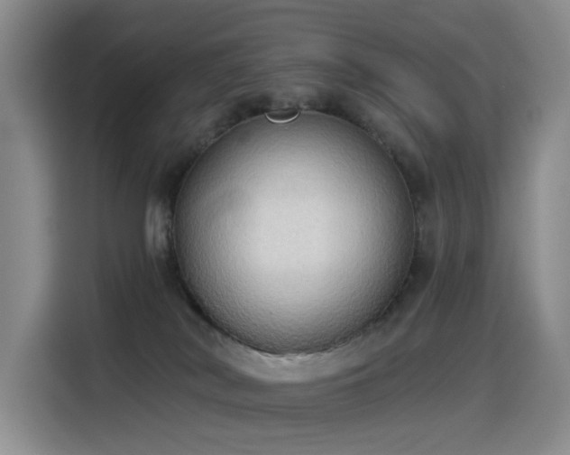 X0000114550038200910191420
