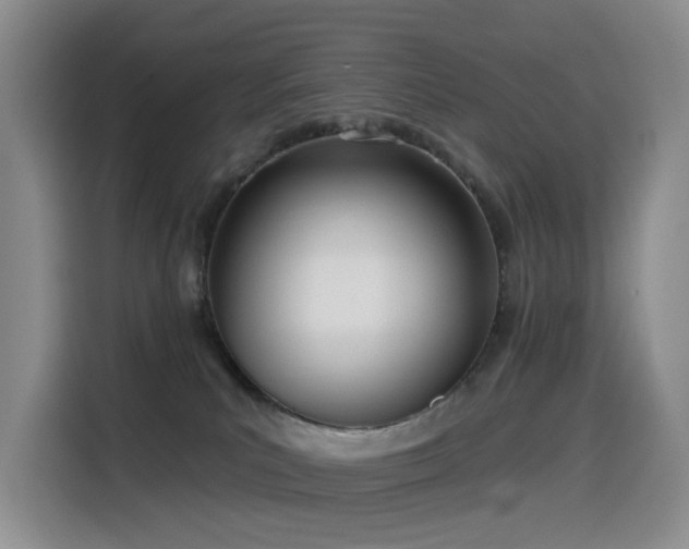 X0000114550039200910191420