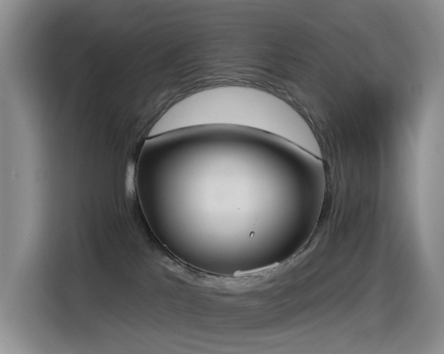 X0000114550041200910191420