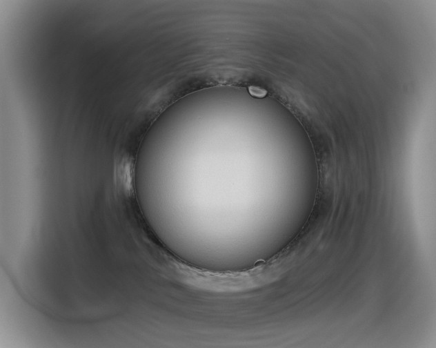 X0000114550042200910191420