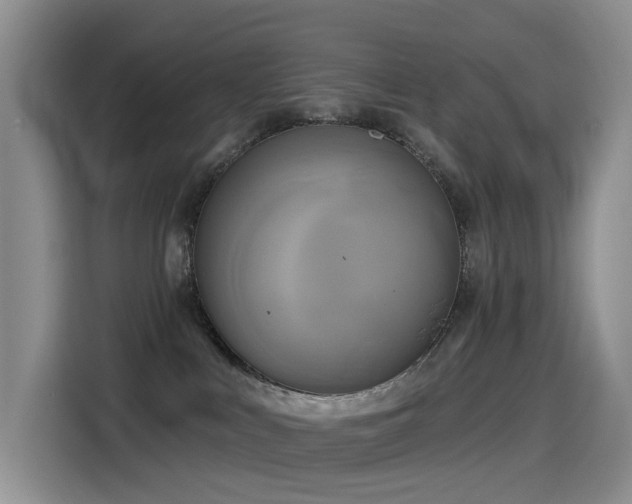 X0000114550043200910191420