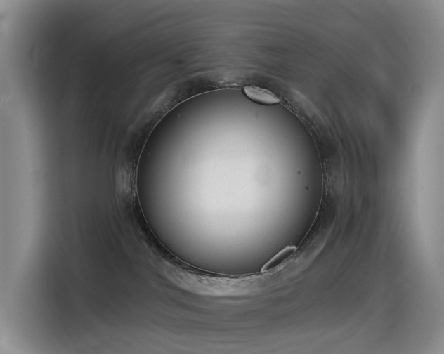 X0000114550044200910191420