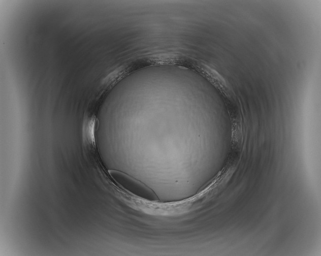X0000114550047200910191420