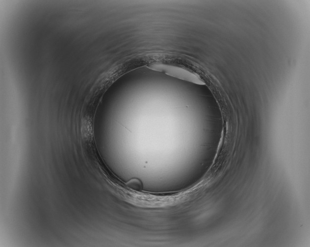 X0000114550048200910191420