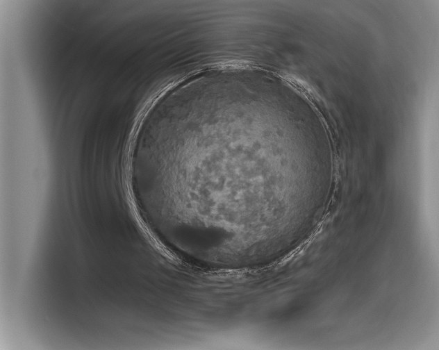 X0000114550049200910191419