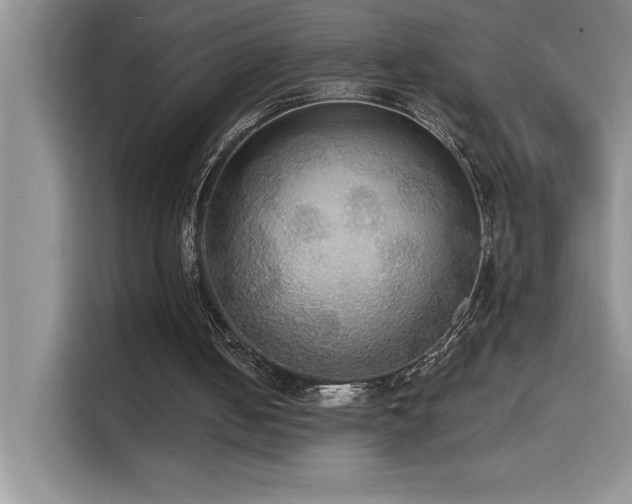 X0000114550050200910191419