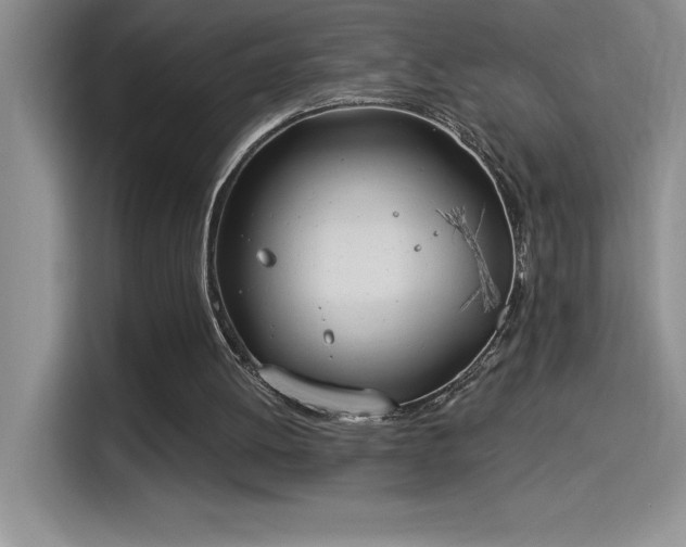 X0000114550052200910191419