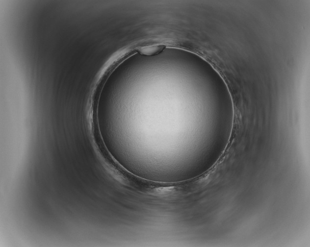 X0000114550054200910191419