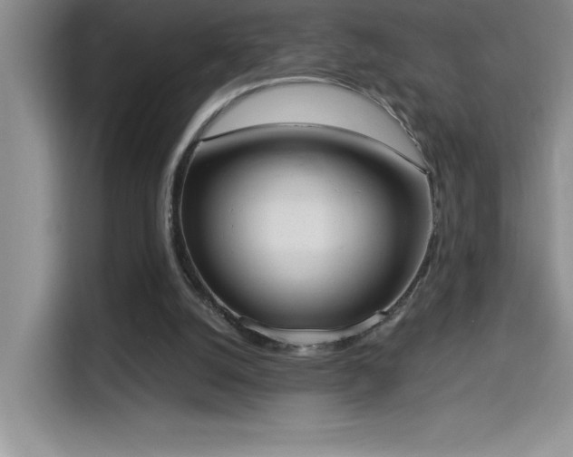 X0000114550056200910191419