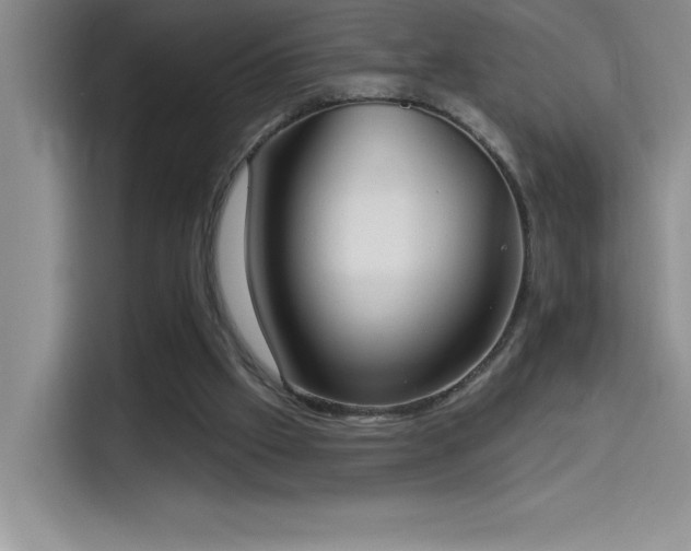X0000114550057200910191419