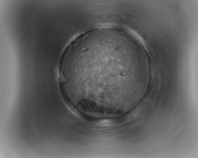 X0000114550059200910191419