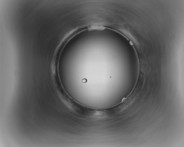 X0000114550060200910191419