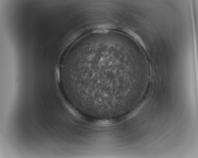 X0000114550061200910191419