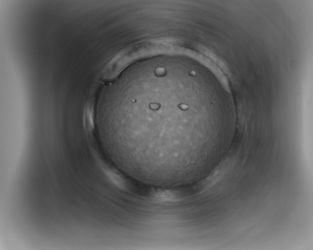 X0000114550062200910191419