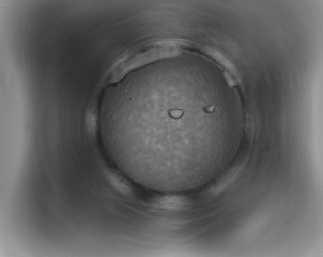 X0000114550063200910191419