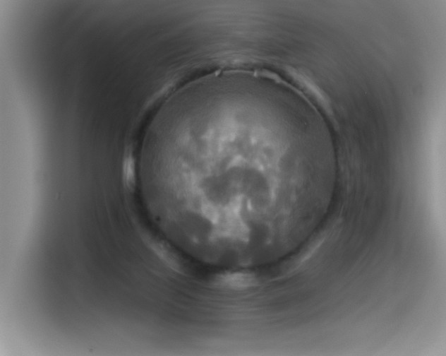 X0000114550067200910191420