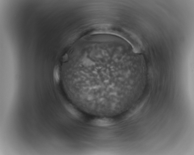 X0000114550069200910191420