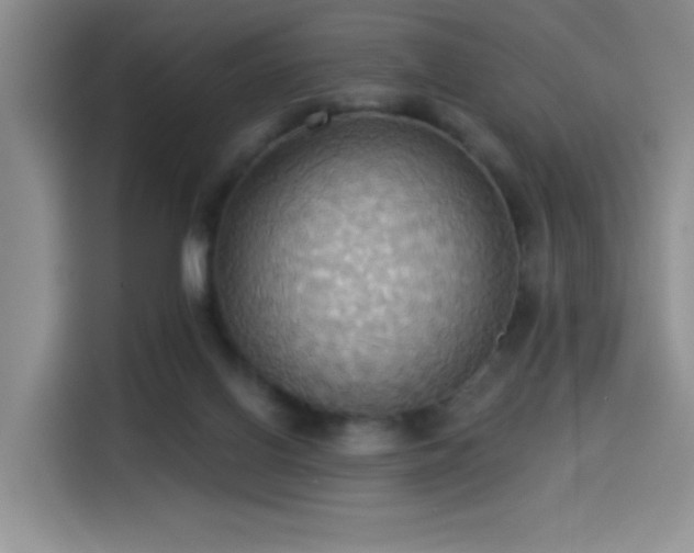 X0000114550070200910191420