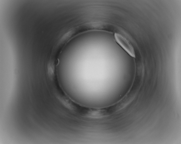 X0000114550072200910191420