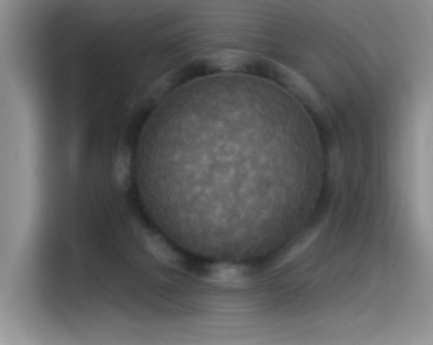 X0000114550073200910191420