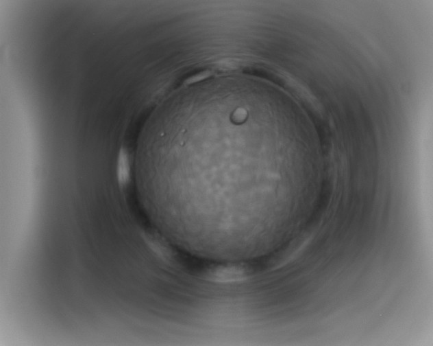X0000114550075200910191420