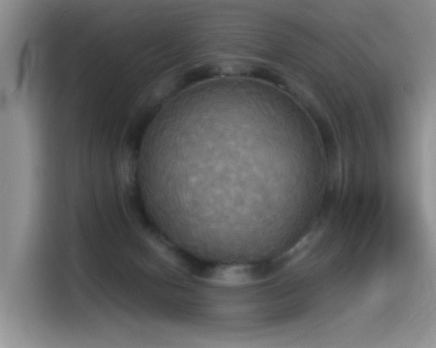 X0000114550078200910191420