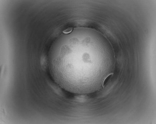 X0000114550079200910191420