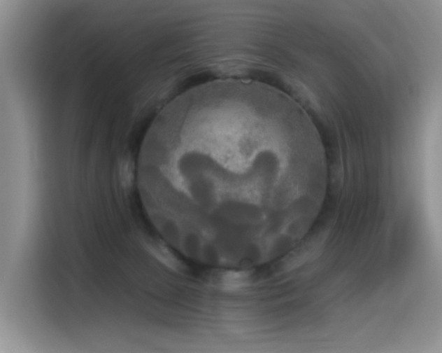 X0000114550081200910191420