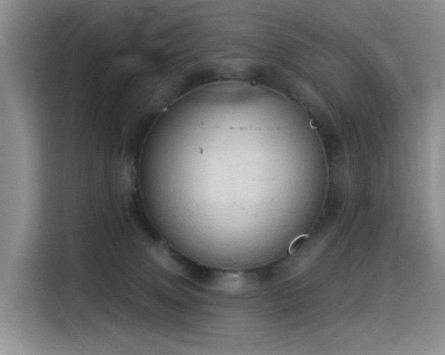 X0000114550083200910191420