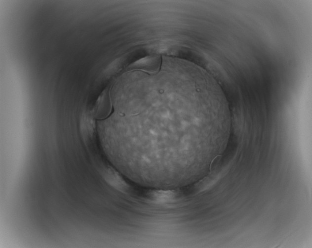 X0000114550085200910191420