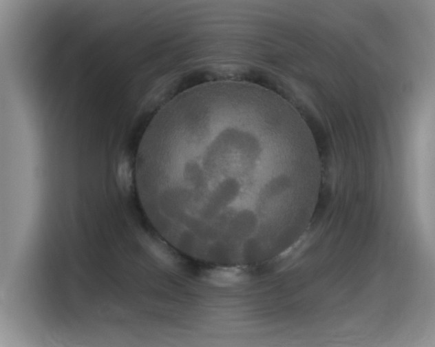 X0000114550086200910191420