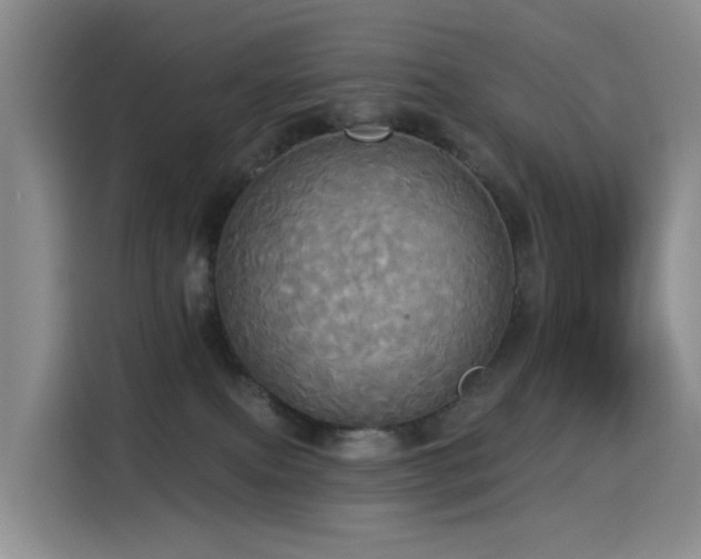 X0000114550087200910191420
