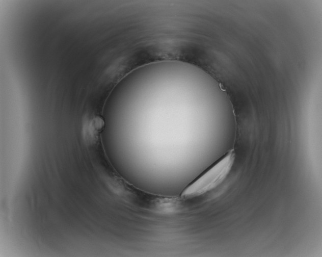 X0000114550088200910191420