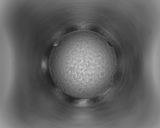 X0000114550090200910191420