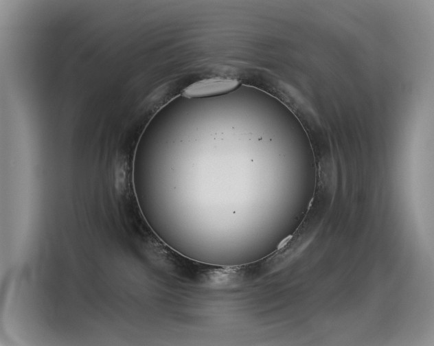 X0000114550092200910191420