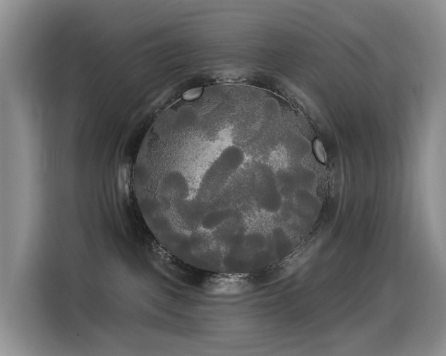 X0000114550093200910191420