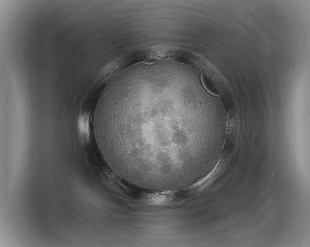 X0000114550094200910191420