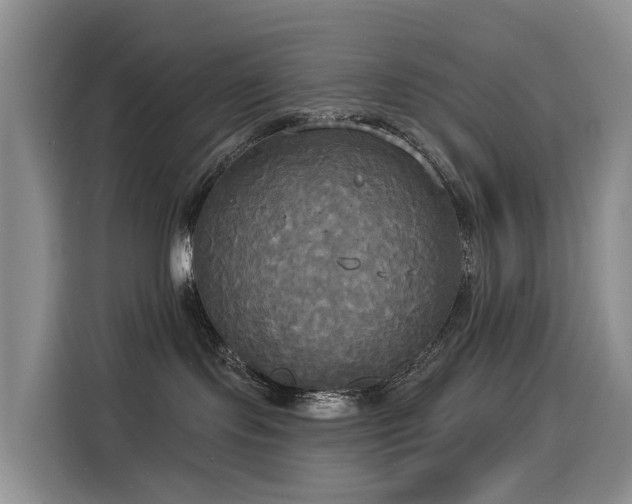 X0000114550095200910191420