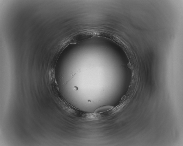 X0000114550096200910191420