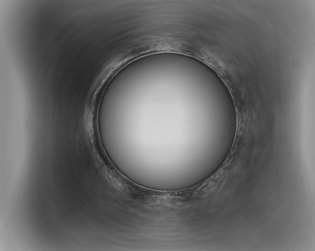 X0000114550098200910191419