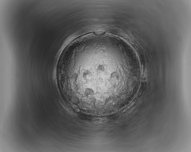 X0000114550099200910191419