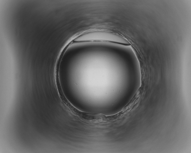 X0000114550100200910191419